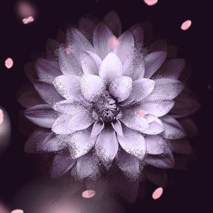 Meet your Posher, Caitlin